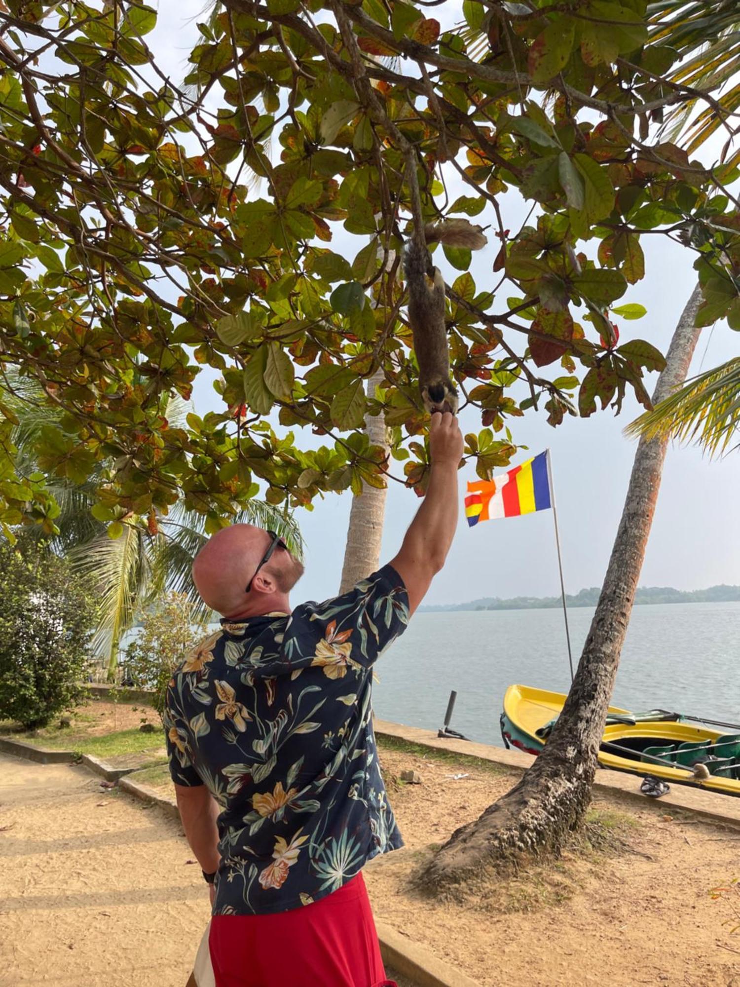 Blue Maalu Resort Ambalangoda  Bagian luar foto