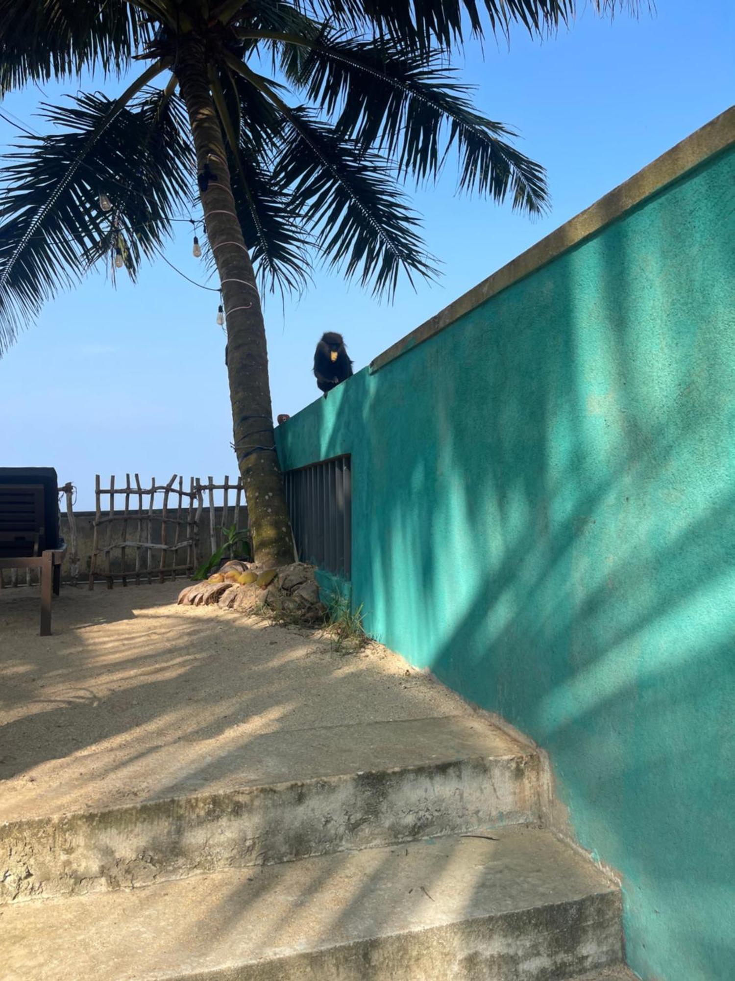 Blue Maalu Resort Ambalangoda  Bagian luar foto